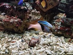 -太平洋海底世界