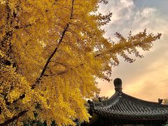 -迎泽公园