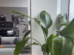 -上海永达奥诚奥迪4S店(申江路店)