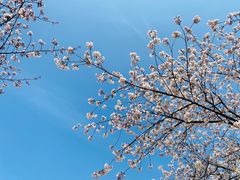 -苏州上方山国家森林公园