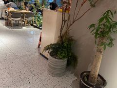 -奉天宴遇烧烤·冒锅