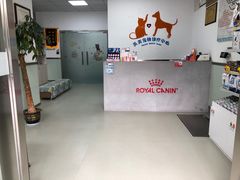 -美美宠物诊疗中心·异宠·骨科(滨江东信分院)