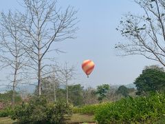 -中国科学院西双版纳热带植物园