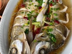 清蒸白鱼-小陆莲花蟹园农家乐(莲花岛店)