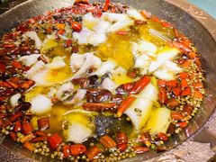 -雲蜀龙阁·金牌水煮鱼(方庄店)