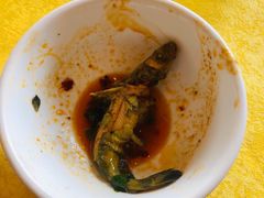 -胖大姐黄辣丁鱼庄(新津店)