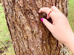 -硗碛藏寨·神木垒景区