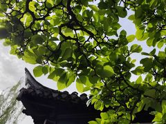 -水绘园