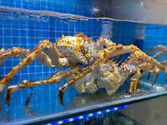 -前王院•巧克力海鲜市集餐厅(万平口店)