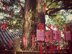 -金堂县云顶石城风景区