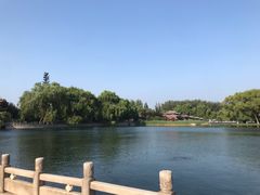 -百脉泉景区