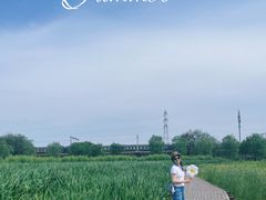 -永定河休闲森林公园