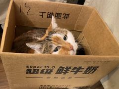 -浅行深作咖啡坊