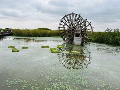-宁波杭州湾国家湿地公园