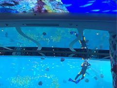 -瑞德姆美人鱼海底演艺主题餐厅(亚龙湾店)