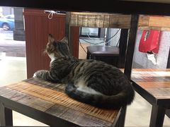 -玉椰林甜品店(创始店)