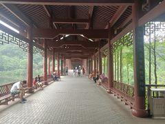 -重庆彩云湖湿地公园