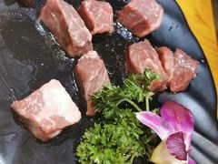 -唯成•韩国炭火烤肉 유성고기