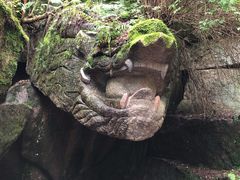 -汤旺河林海奇石景区