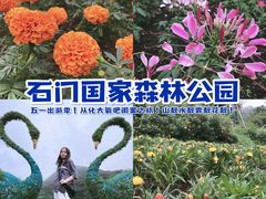 -广州市石门国家森林公园