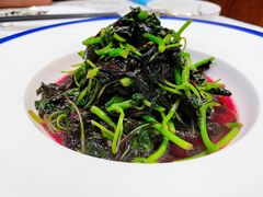 蒜蓉炒苋菜-钱塘花园·宁波菜