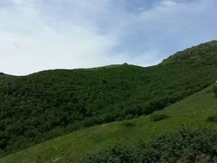 -灵山