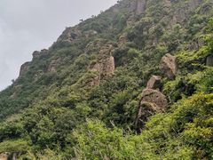 -阳台山自然风景区