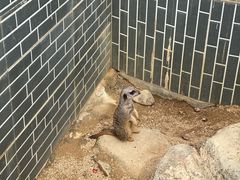 -森波拉奇妙世界
