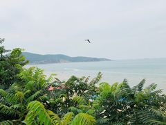 -西中岛海滨
