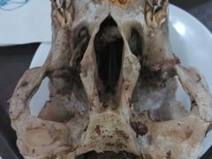 -泉儿头杂碎·清真(城东总店)