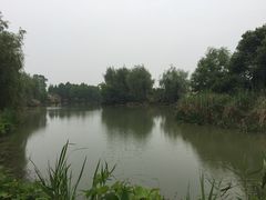 -梁鸿国家湿地公园