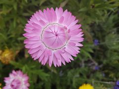 -苏州上方山国家森林公园