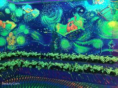 -天津梵高星空艺术馆(天河城旗舰店)