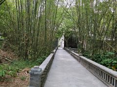 -开平碉楼文化旅游区马降龙景区