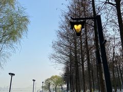 -武昌江滩