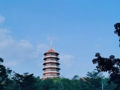-厦门市图书馆(集美新城馆区)