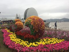 -野狸岛