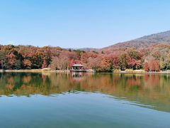 -紫霞湖公园