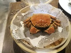 -龙巢盱眙龙虾·牛蛙·烧烤宵夜(八卦岭店)