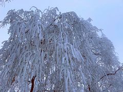 -秦岭终南山世界地质公园翠华山景区