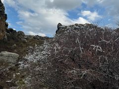 -苏木山森林公园