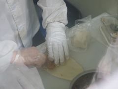 全家福-上海虹口糕团(福州路店)