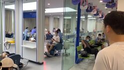 点击看大图 -大麦微针植发全国连锁