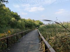 -长广溪湿地公园
