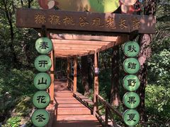 -大岭沟猕猴桃谷风景区
