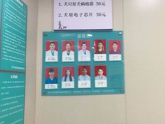 -安安宠医宠物医院·异宠·犬猫内科(岳阳分院)
