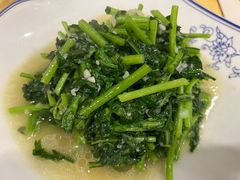 茼蒿-杨辉饭店