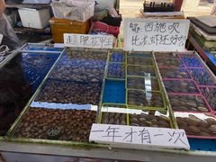 -大湾区中央湿地公园-十九涌