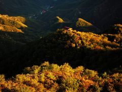 -大岭沟猕猴桃谷风景区