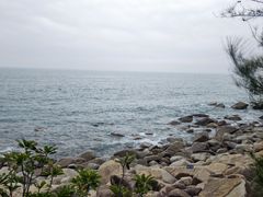 -广东惠东海龟国家级自然保护区